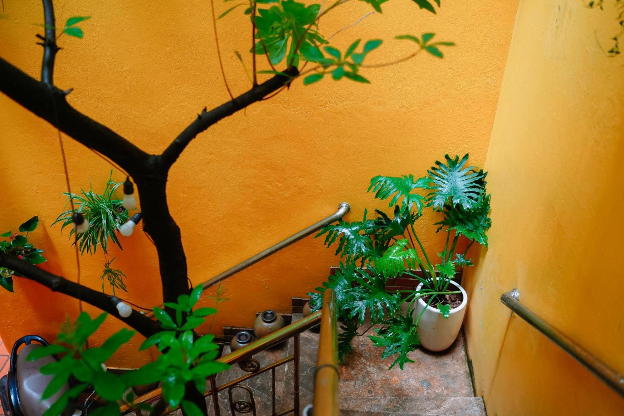 Morri Homestay - Quan Thanh ฮานอย ภายนอก รูปภาพ