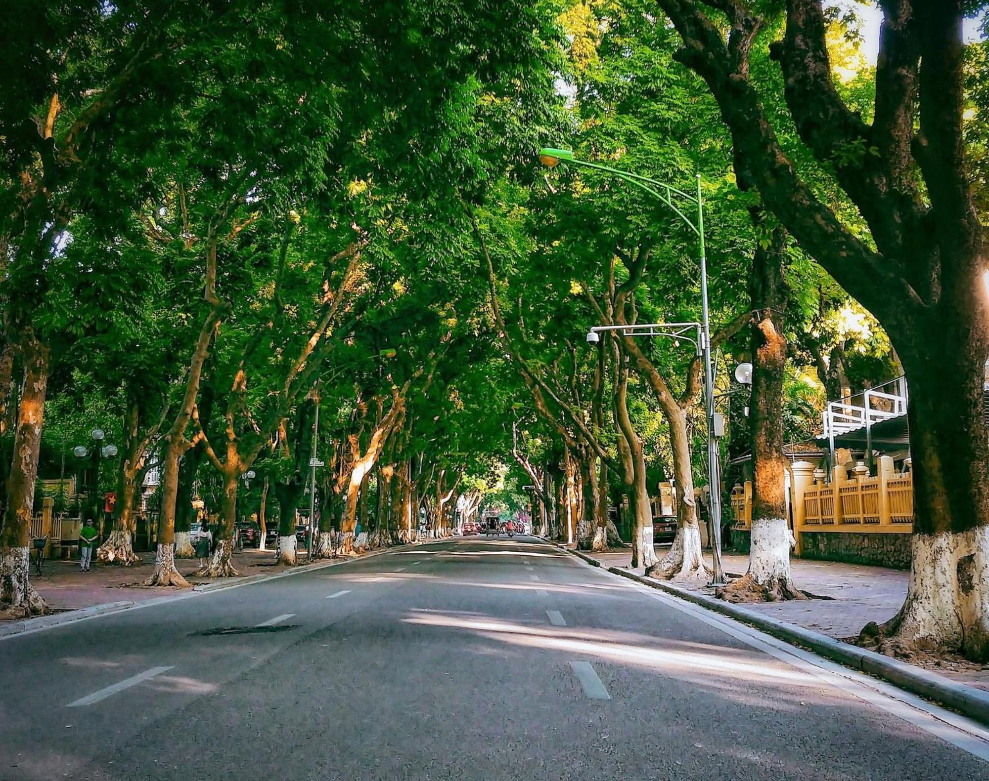 Morri Homestay - Quan Thanh ฮานอย ภายนอก รูปภาพ